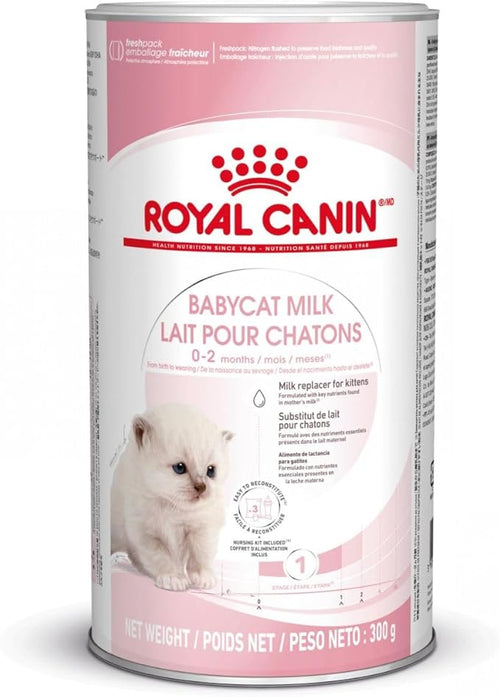 Cats Milk