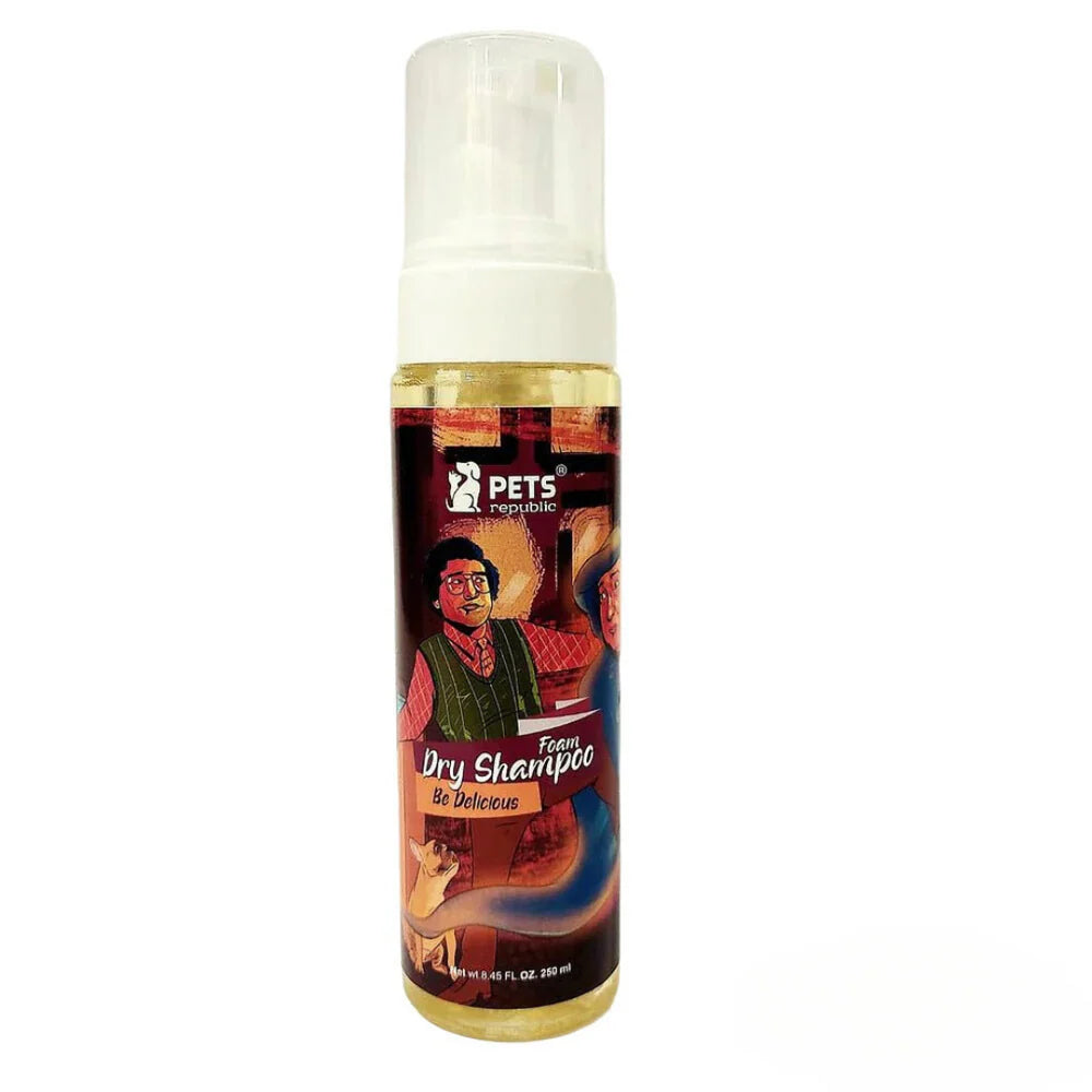 Foam Dry Shampoo 250Ml - Be Delicious