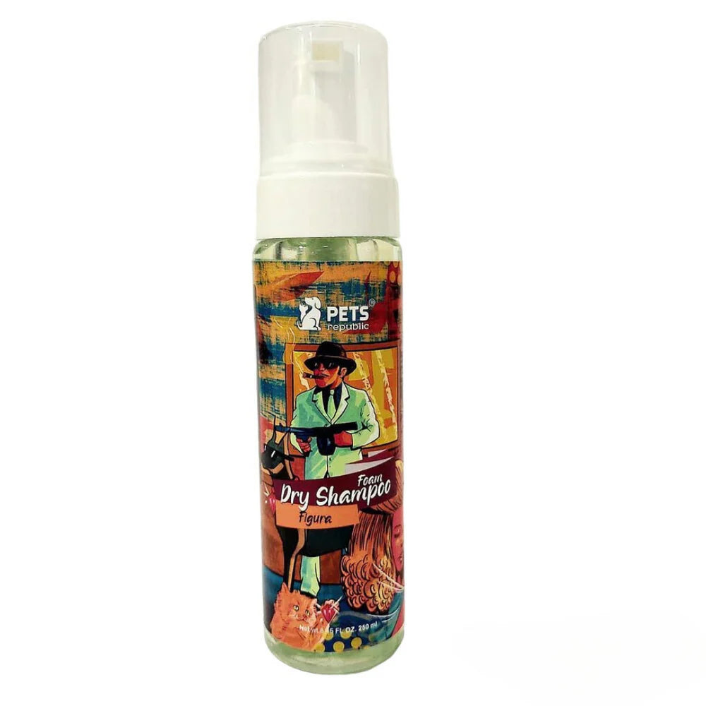 Foam Dry Shampoo 250Ml - Figura