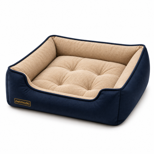 cats-bed