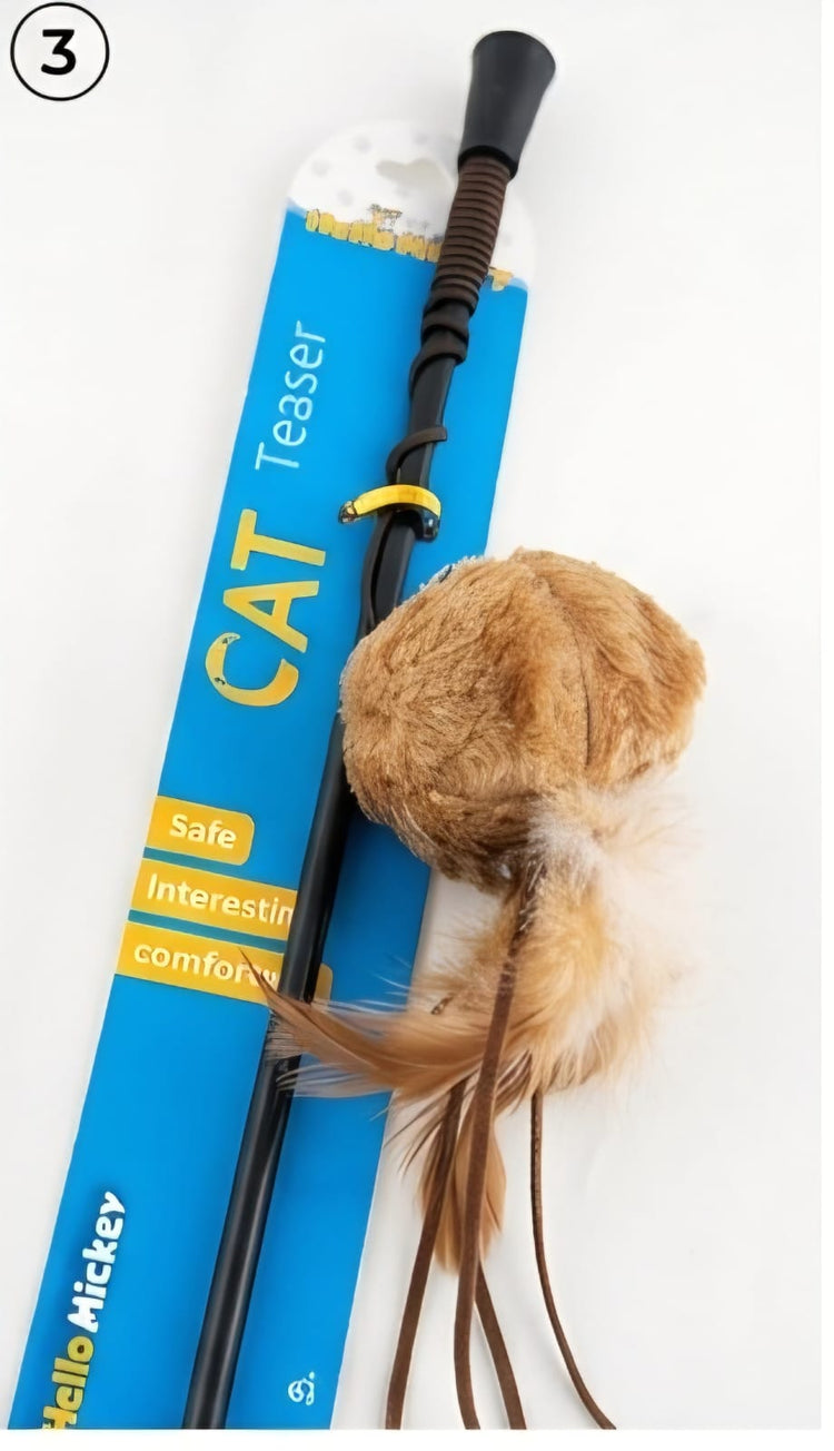 Cat Teaser Wand Toy Ball with Feather