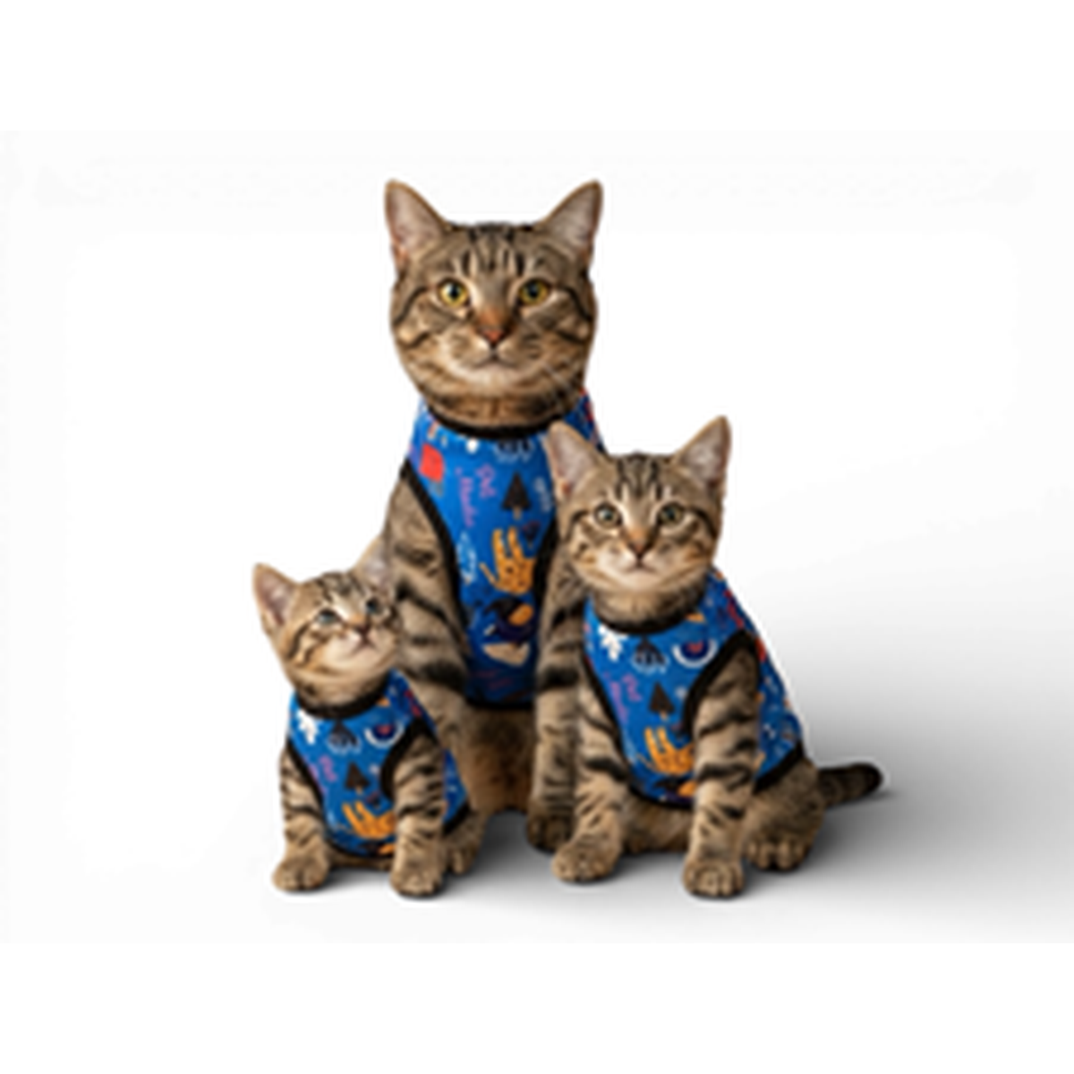 Sweatshirt for Cats