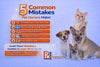 5 Common Mistakes Pet Owners Make