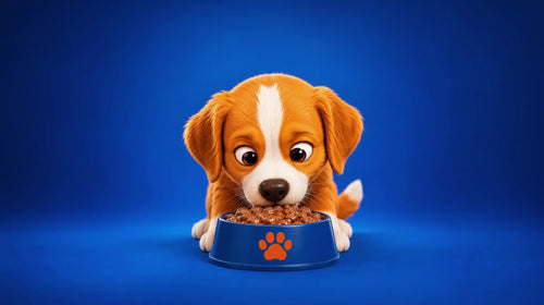 Dog wet food