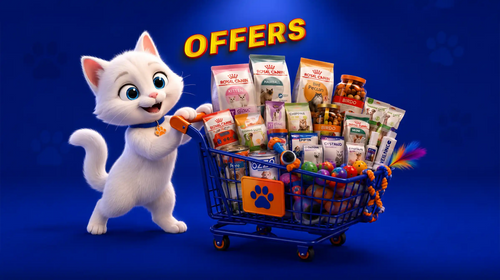 Offers