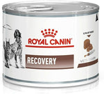 Royal Canin Recovery Bacon Liquid Can for Dogs and Cats, 195 g All Life Stages