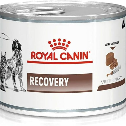 Royal Canin Recovery Bacon Liquid Can for Dogs and Cats, 195 g All Life Stages