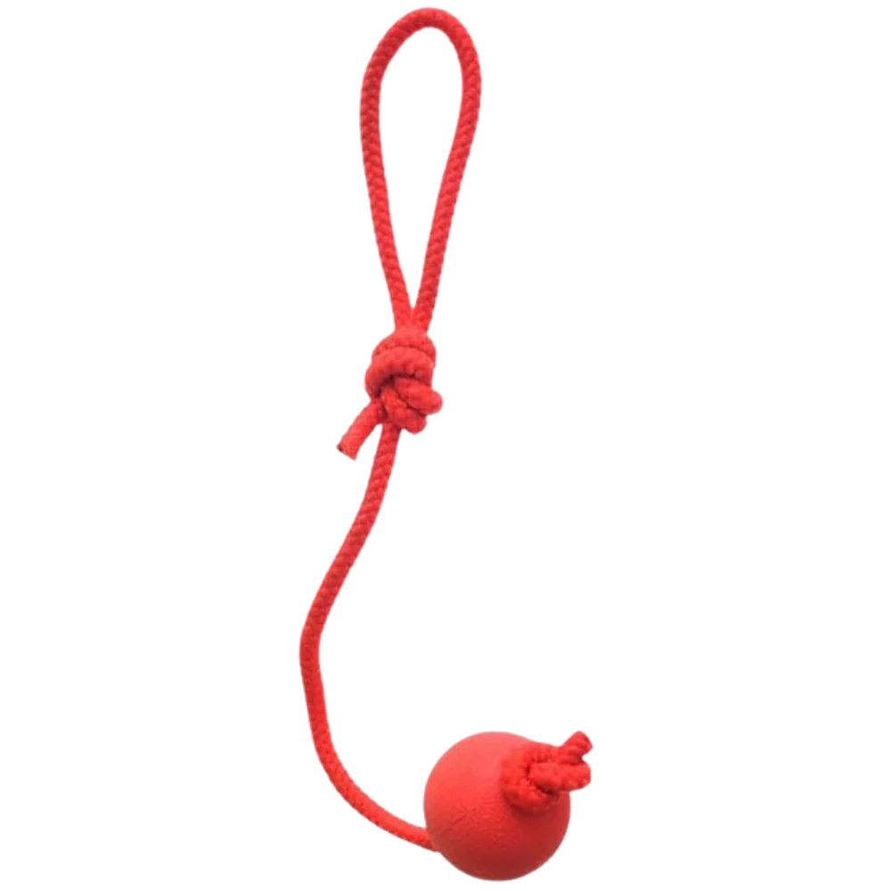 Cool Cat Rubber Ball Rope Dog