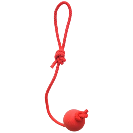 Cool Cat Rubber Ball Rope Dog