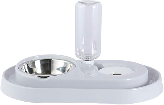 Double Pet Bowls with Automatic Water Dispenser