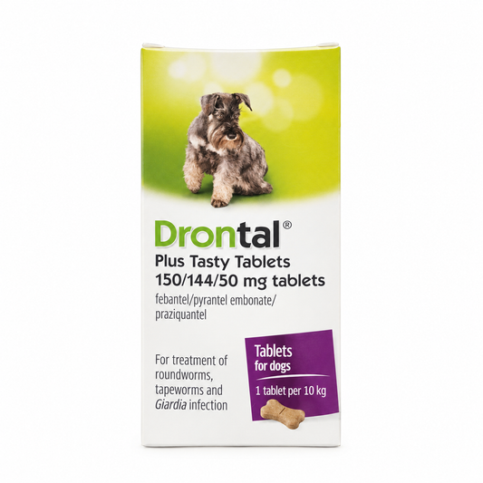 Drontal Plus Dog Tasty Bone Worming Tablet (one tablet)