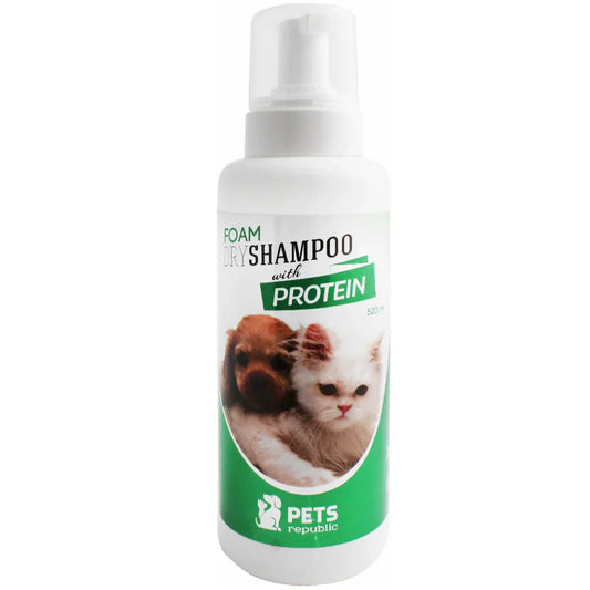 Dry foam shampoo Protein 520ml