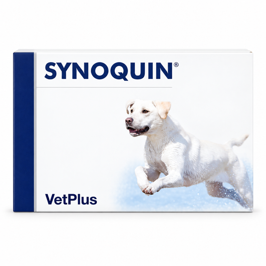Synoquin Vet Plus Joint Supplement for Dogs