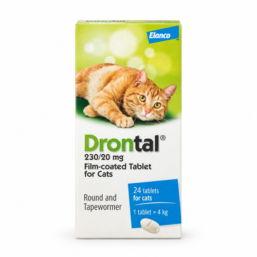Drontal for cats