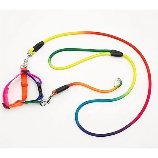 Colorful Pet Leash &Harness Set