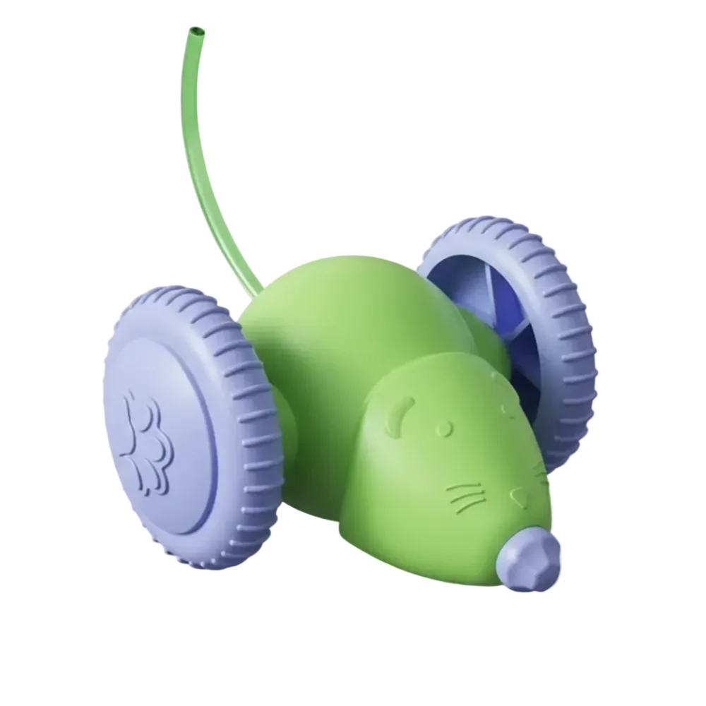 Cat Toy Car & Mouse Smart