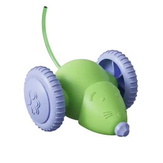 Cat Toy Car & Mouse Smart