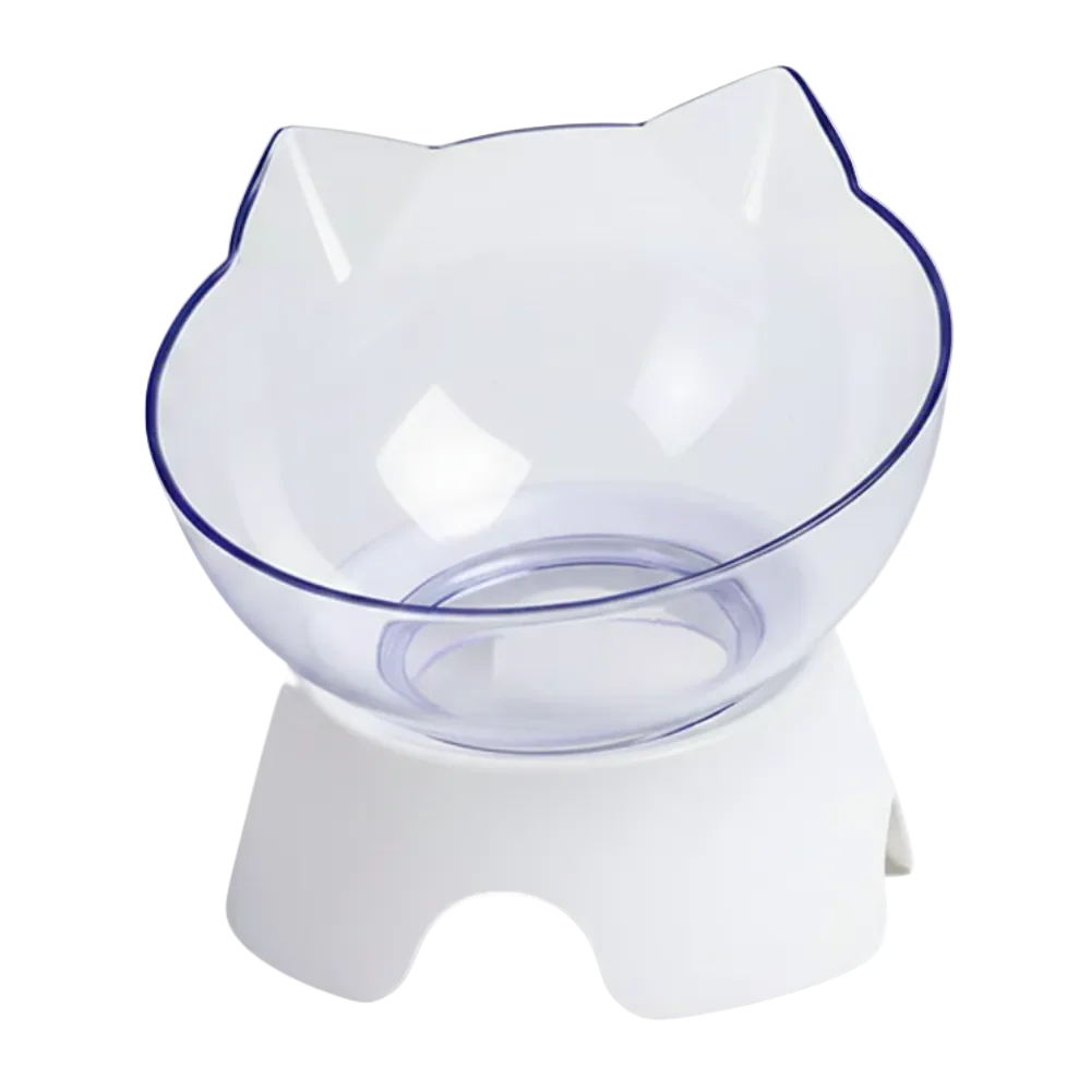 Raised Cat Bowl with Non-Slip Stand for Cats or Small Dogs