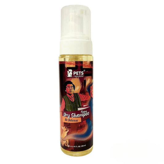 Foam Dry Shampoo 250Ml - Be Delicious