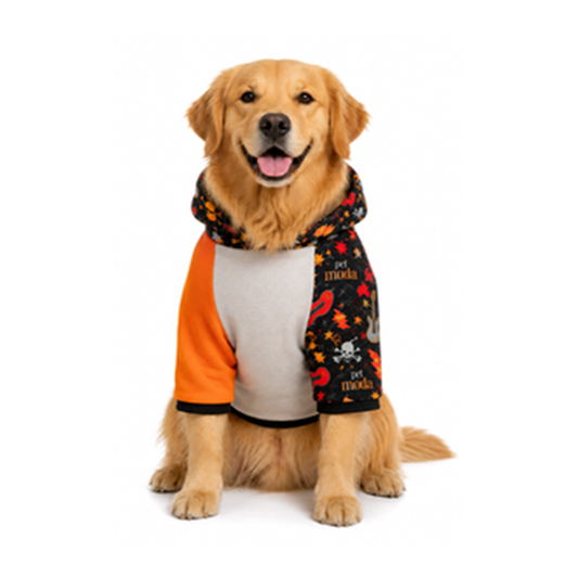 Moda Sweatshirt