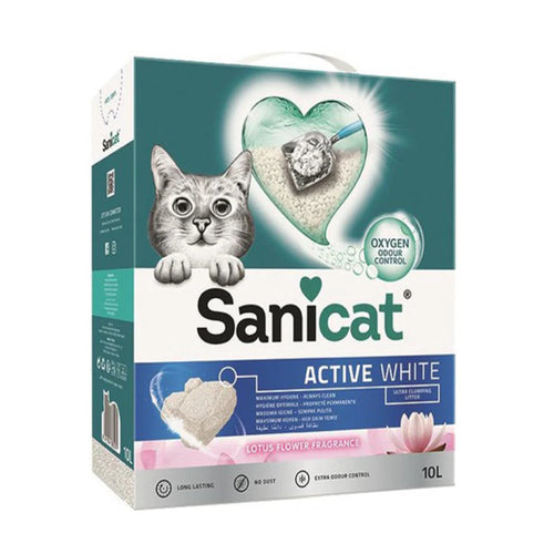 Cats Litter