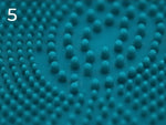 Pet Grooming Brush Mitt