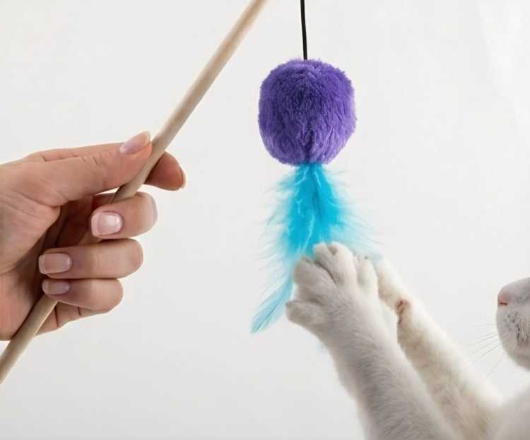 Interactive Cat Teaser Wand Toy