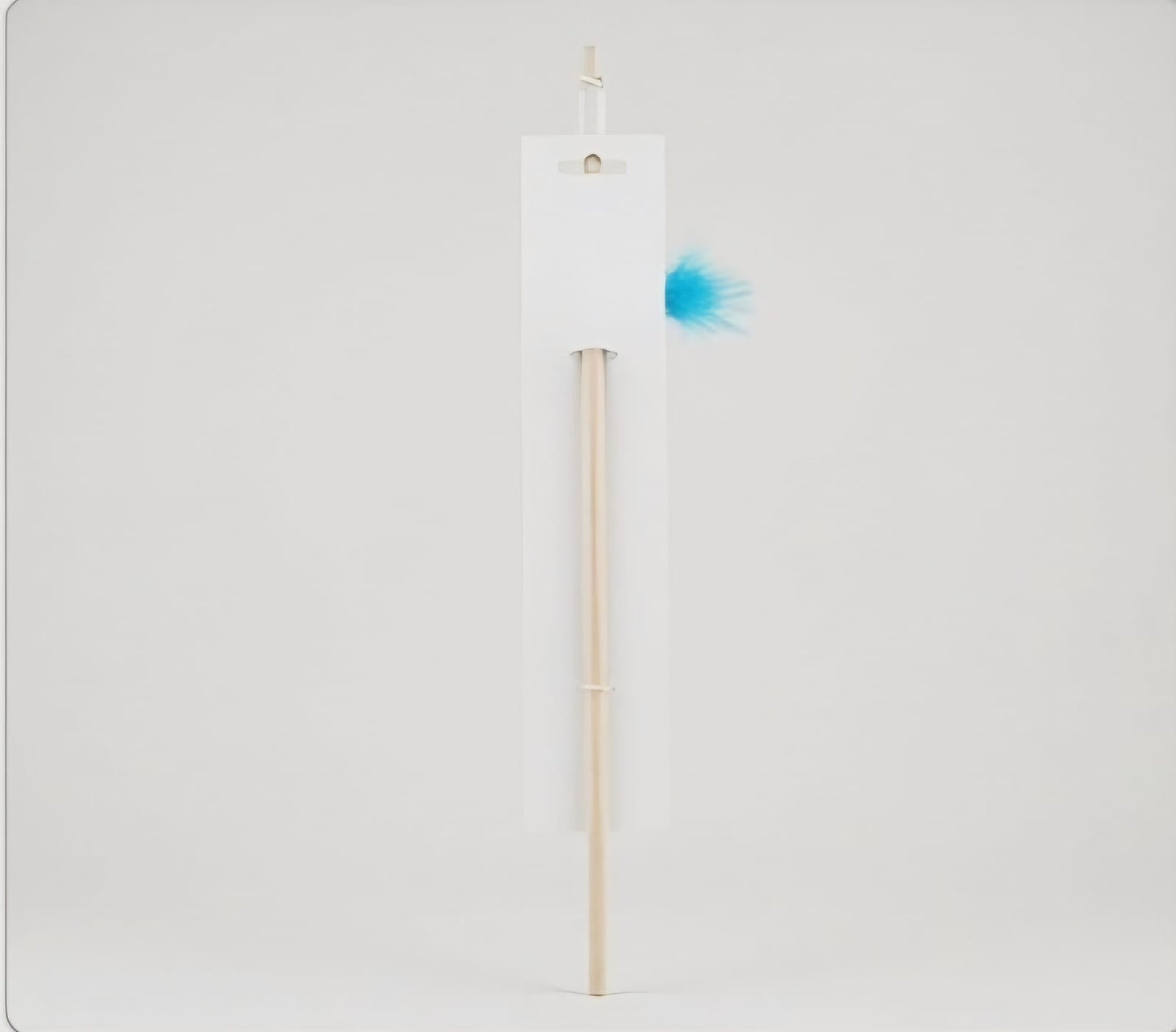 Cat Teaser Wand Toy Mouse with Feather – Blue
