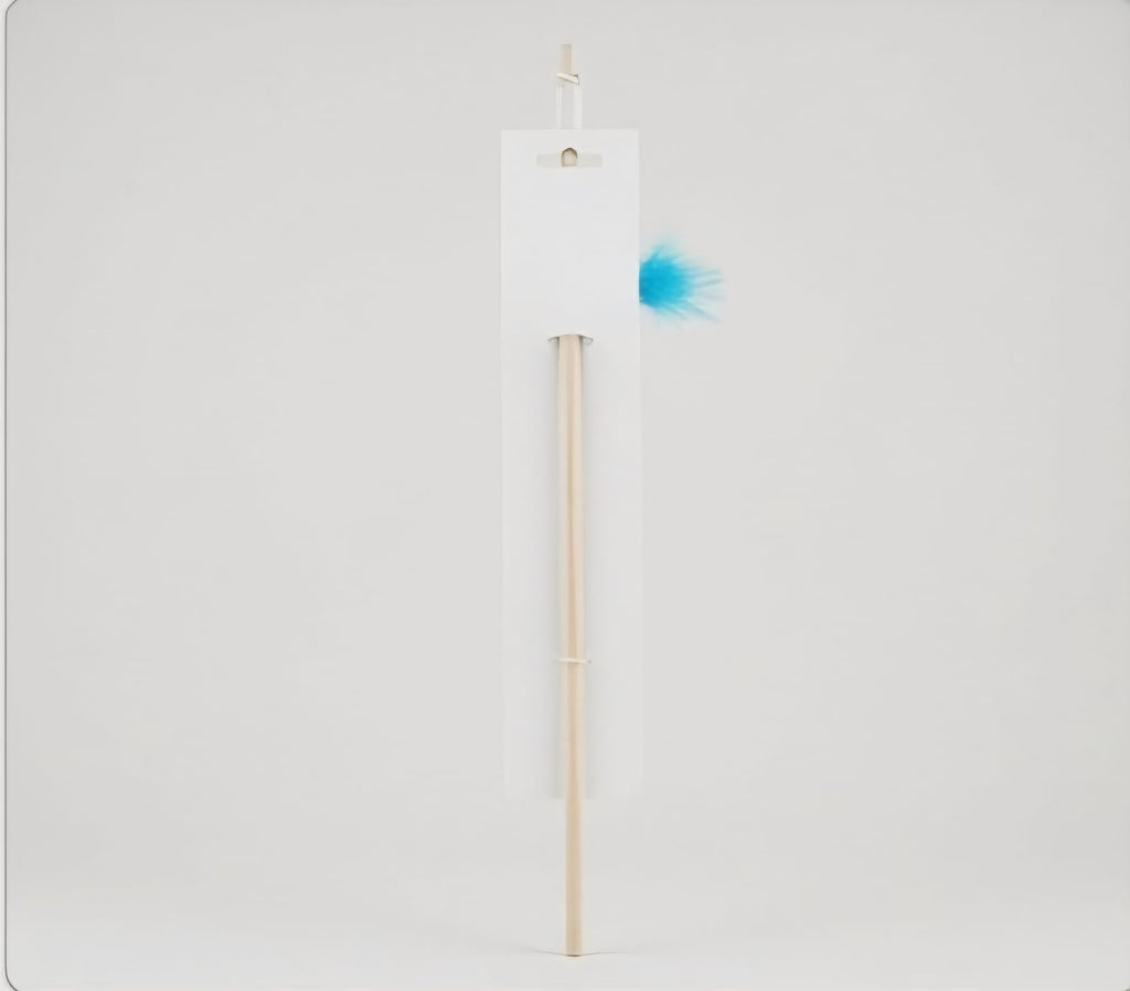 Cat Teaser Wand Toy Mouse with Feather – Blue