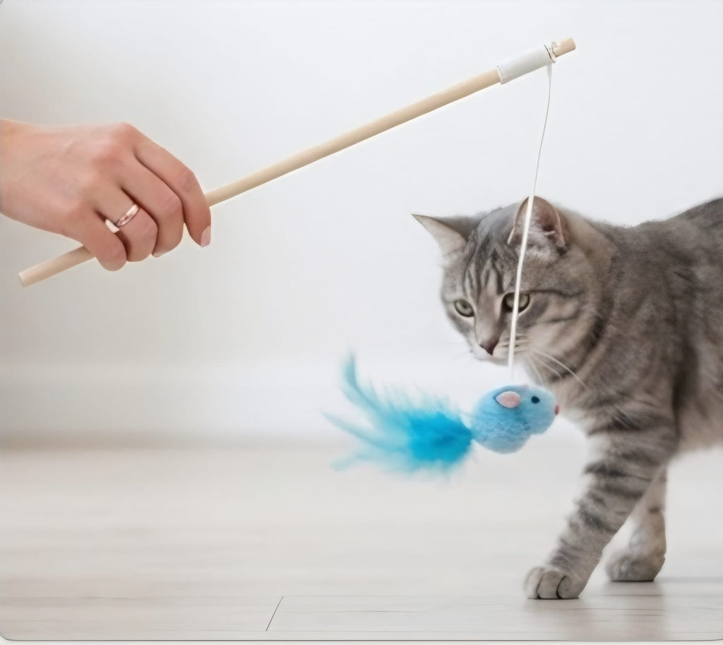 Cat Teaser Wand Toy Mouse with Feather – Blue