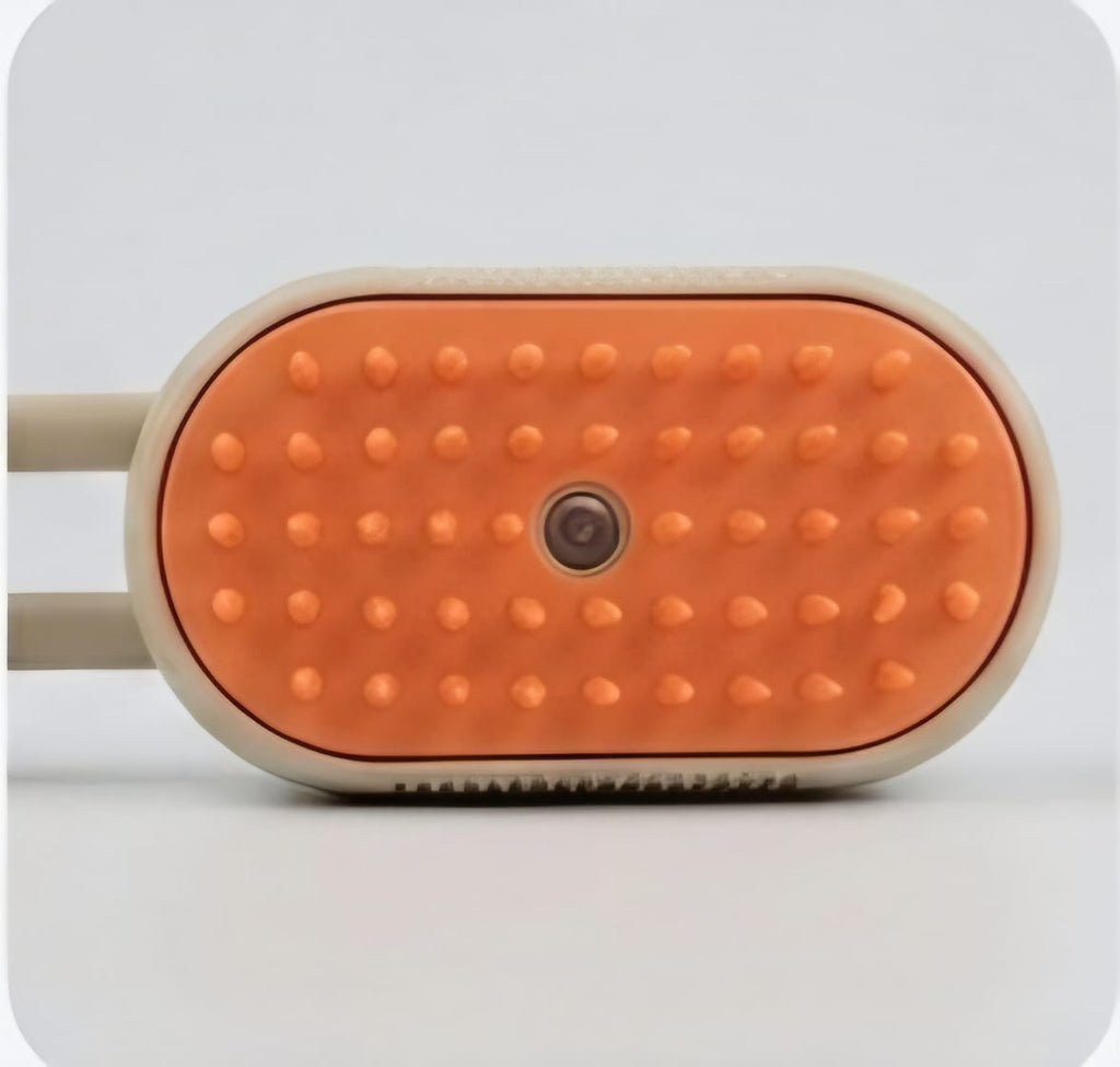 Spray Massage Brush