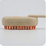 Spray Massage Brush