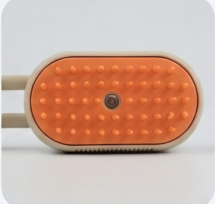 Spray Massage Brush