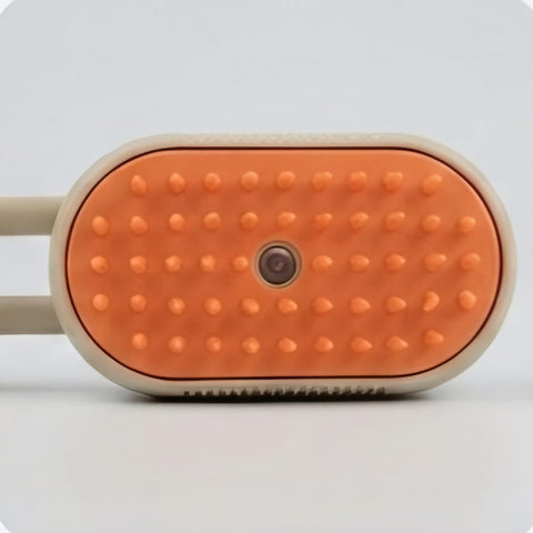 Spray Massage Brush
