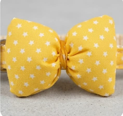 Bow Tie Collar