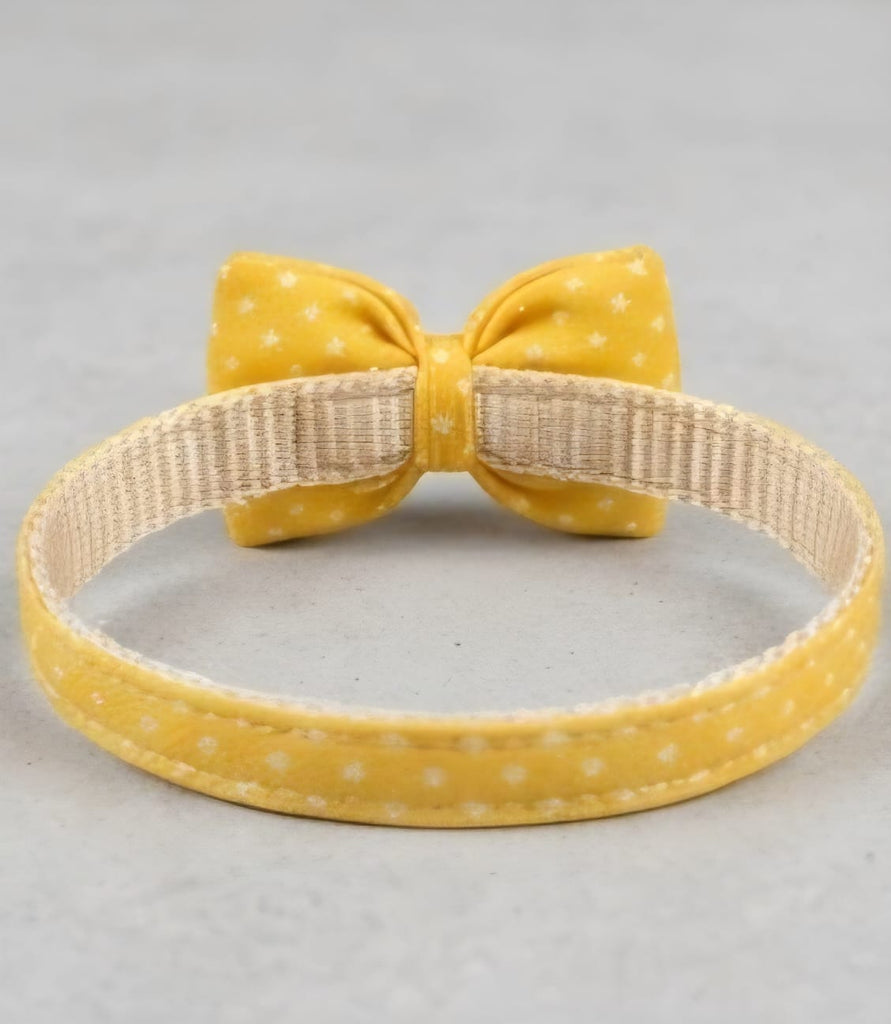 Bow Tie Collar