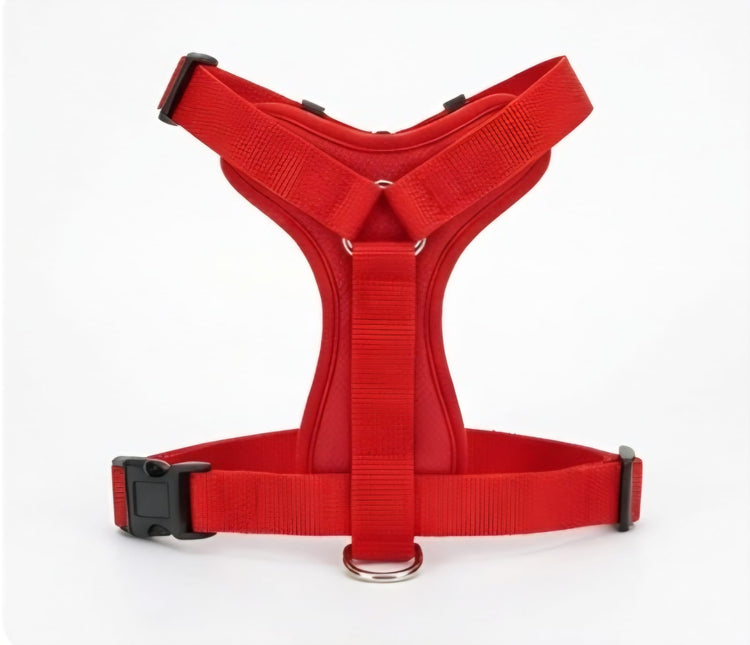Adjustable Dog Harness and Leash Set