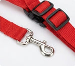 Adjustable Dog Harness and Leash Set