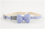 Blue Bow Tie Pet Collar