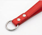 Metal Chain Dog Leash with Handle