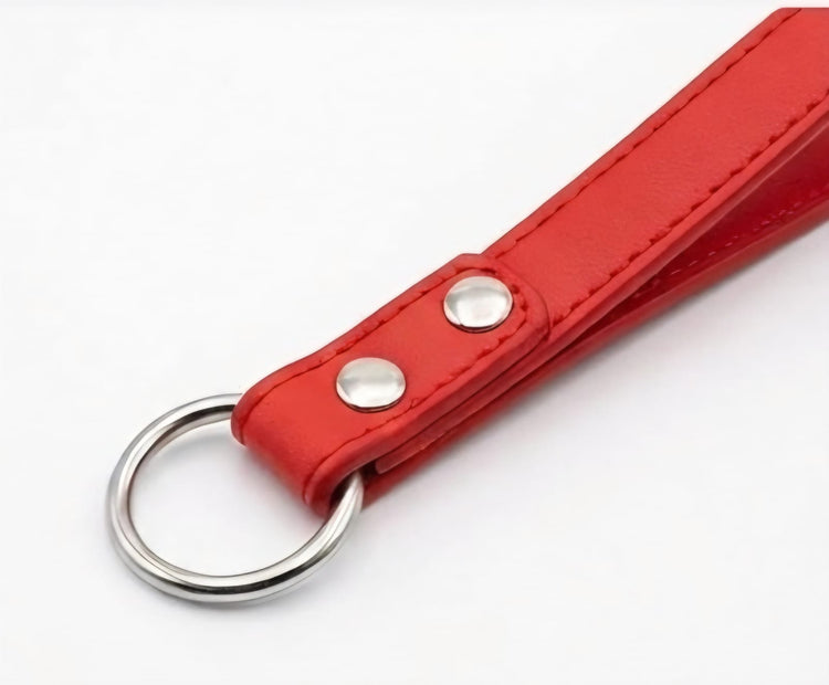 Metal Chain Dog Leash with Handle