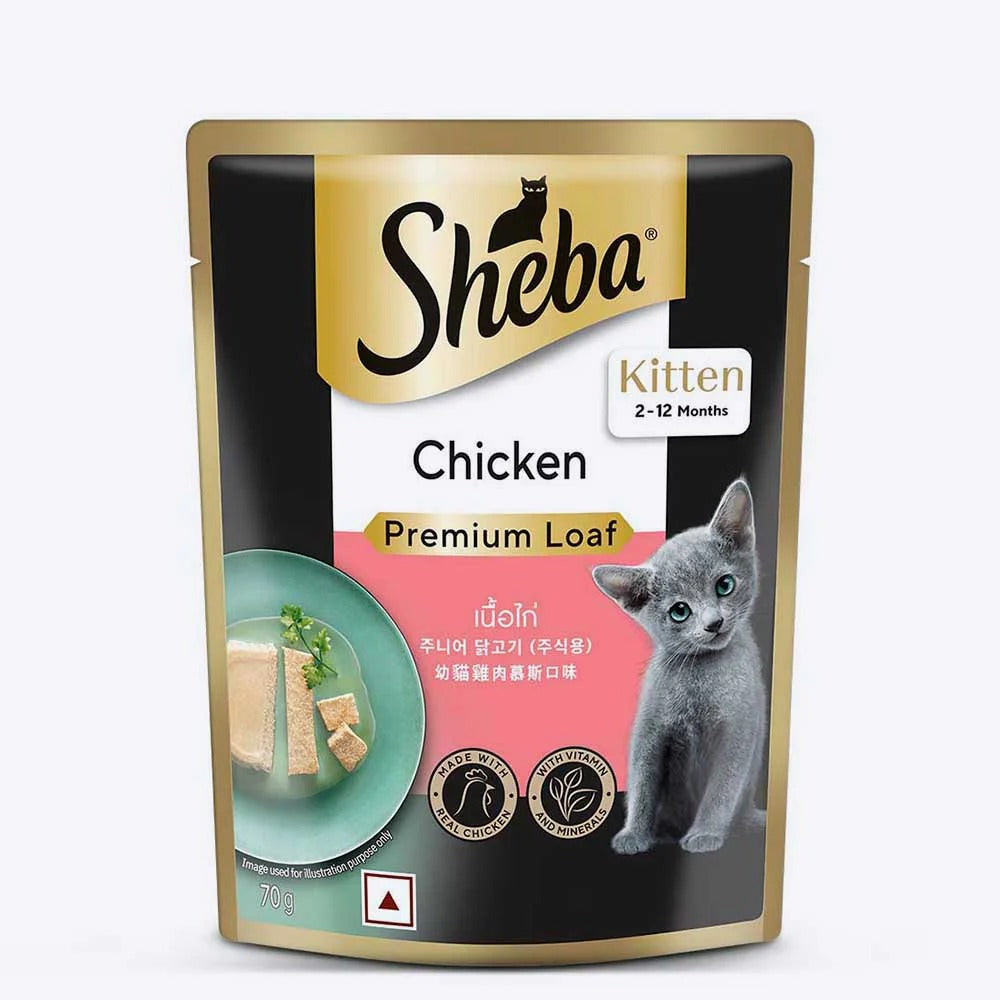 Sheba Kitten (2-12 Months) - Chicken Premium Loaf (70g)