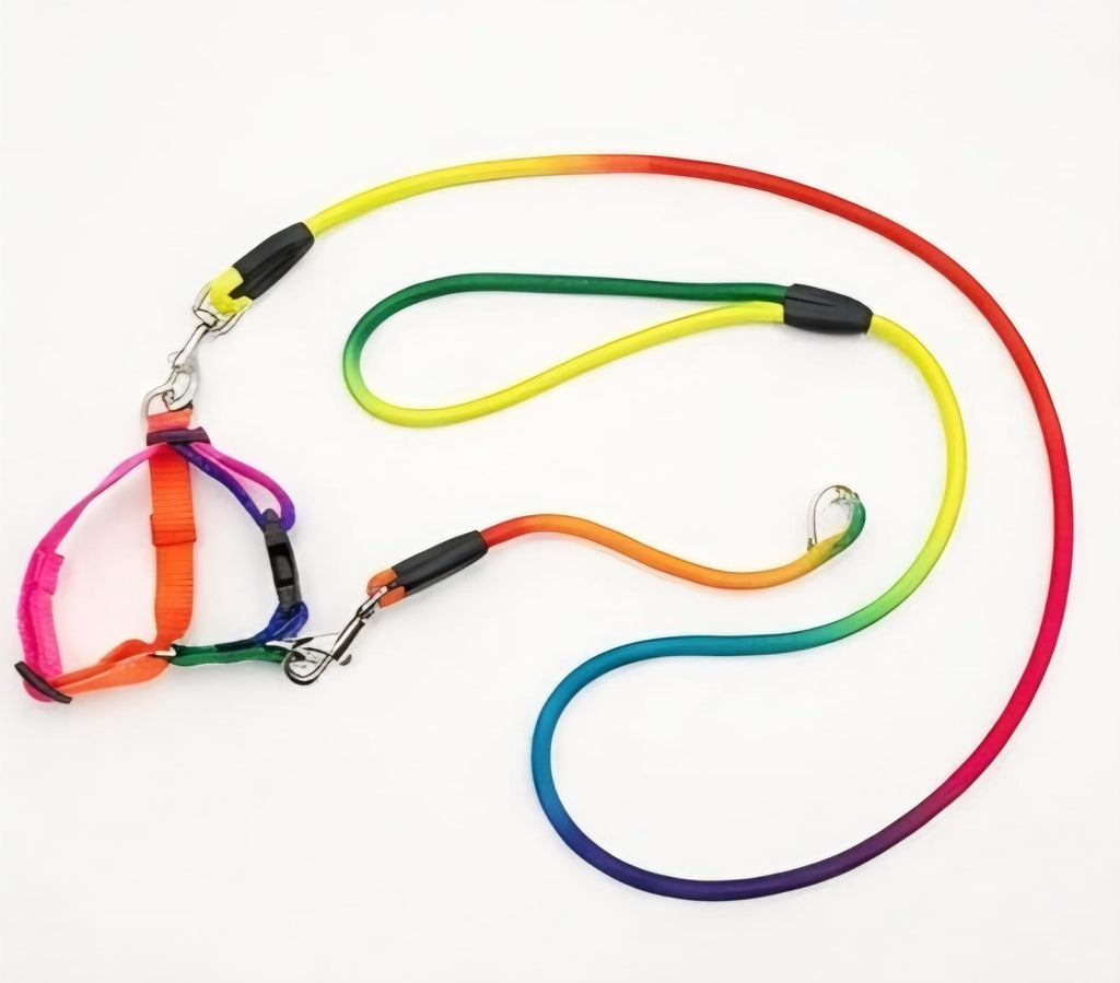 Colorful Pet Leash &Harness Set