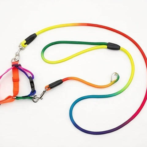 Colorful Pet Leash &Harness Set