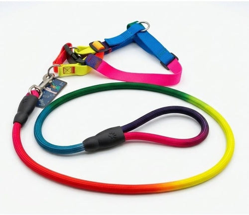dog-leash-collar-harness
