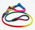 Colorful Pet Leash &Harness Set