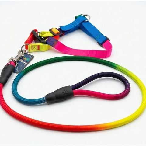 Colorful Pet Leash &Harness Set
