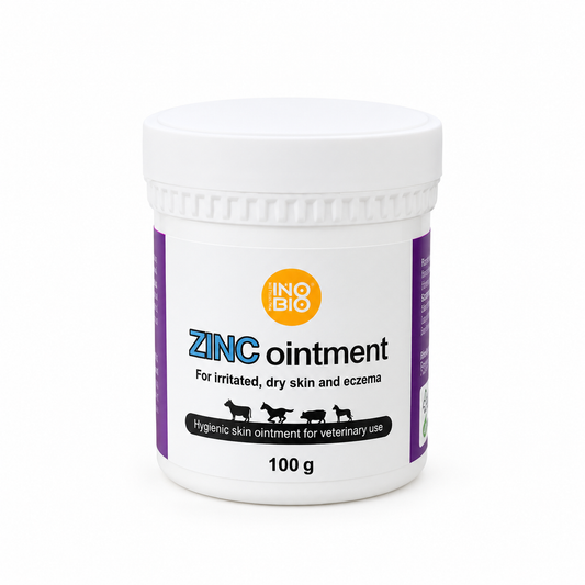 A white plastic jar of INO BIO Zinc Ointment, 100 g, on a clean white background. The label features purple side panels, a yellow circular logo, and blue and black text.