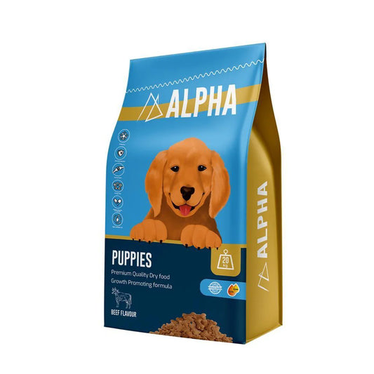 Alpha Puppies 4k