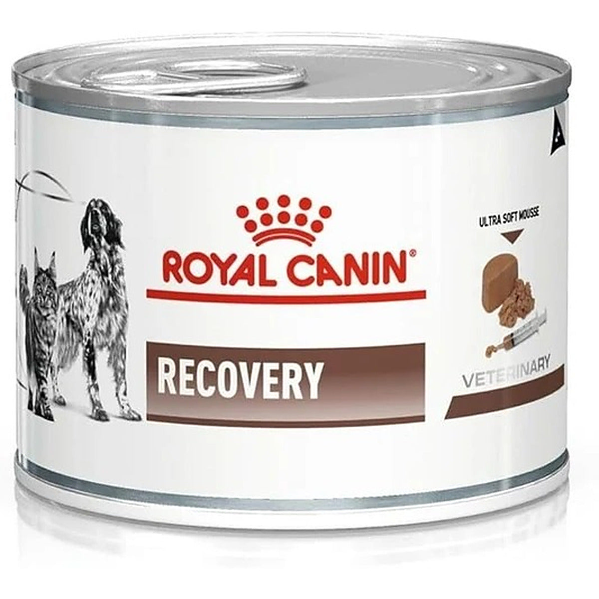 Royal Canin Recovery Bacon Liquid Can for Dogs and Cats, 195 g All Life Stages